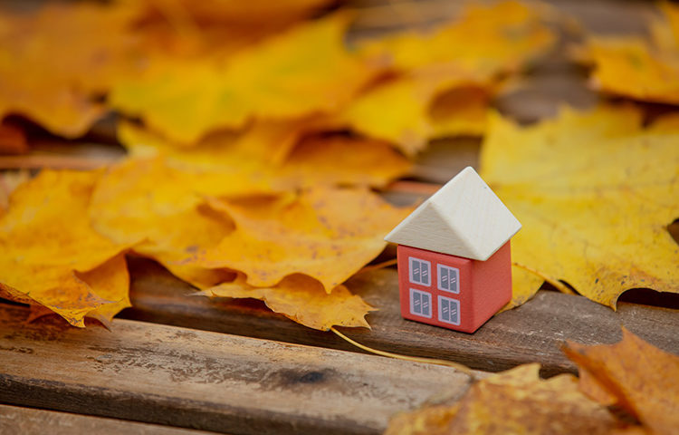 Prepara tu hogar para el otoño