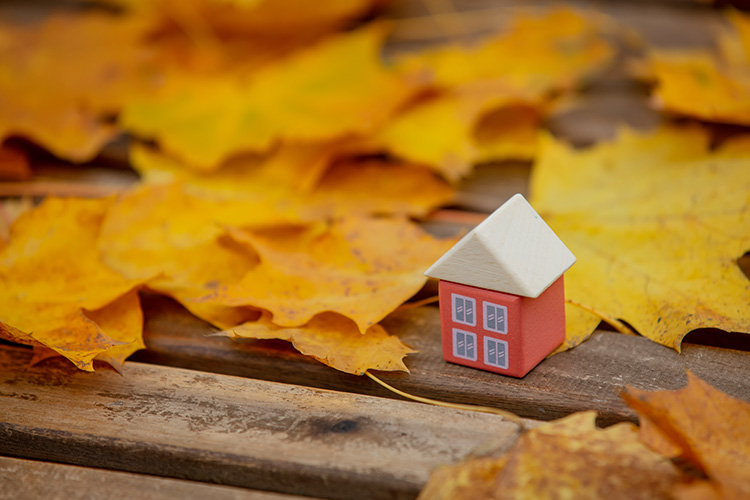 Prepara tu hogar para el otoño