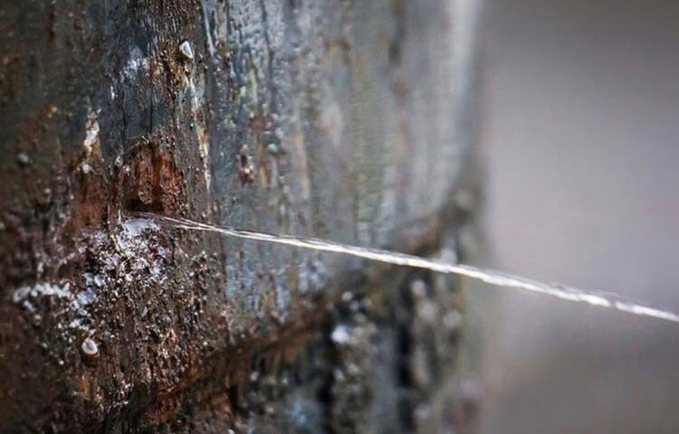 Cómo detectar fugas en bajantes verticales sin romper paredes en Valencia