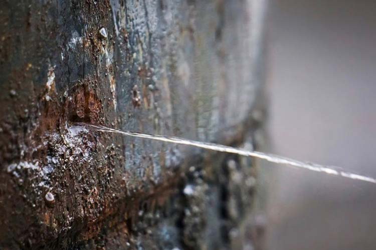 Cómo detectar fugas en bajantes verticales sin romper paredes en Valencia